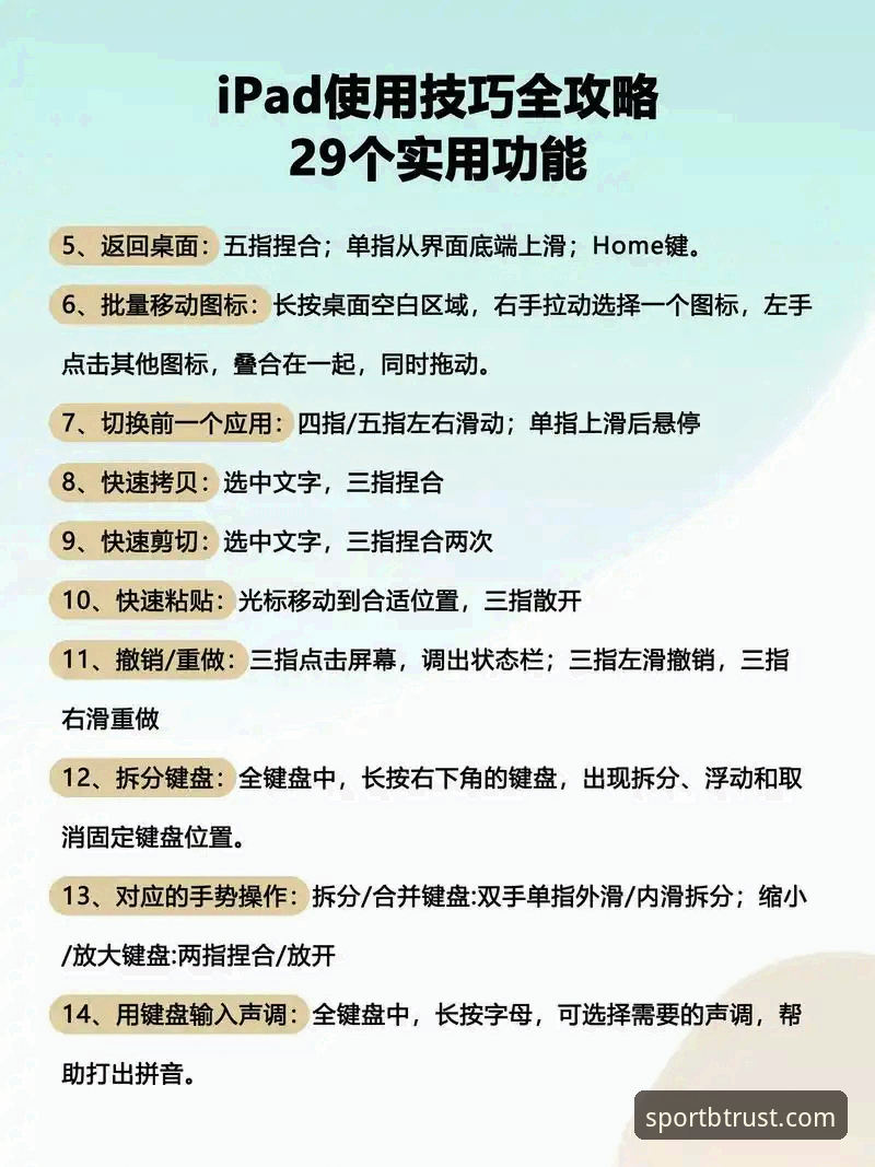 BSPORTS版本更新 BSPORTS版本更新后怎么操作?新手必看的安装与使用指南